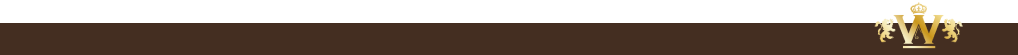 Bottom Banner White